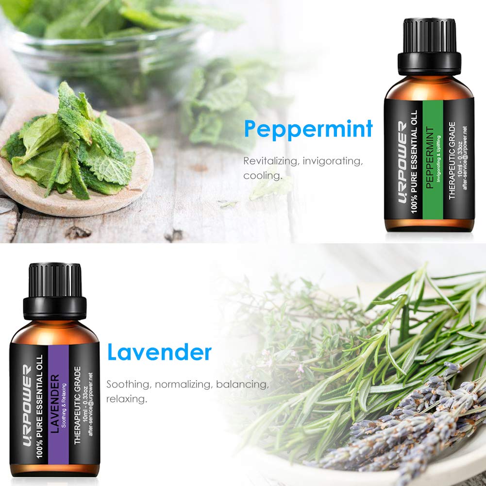 URPOWER Essential Oils, Upgraded 6 Aromatherapy Essential Oil Diffuser Essential Oils 100% Pure Lavender, Peppermint, Sweet Orange, Eucalyptus, Tea Tree, Lemongrass Essential Oil Gift Set 10ml/each