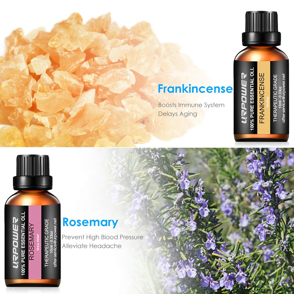 URPOWER Essential Oils Top 8 Aromatherapy Essential Oils 100% Pure Therapeutic Grade Essential Oils Set Lavender/Peppermint/Tea Tree/Orange/Eucalyptus/Lemongrass/Frankincense/Rosemary