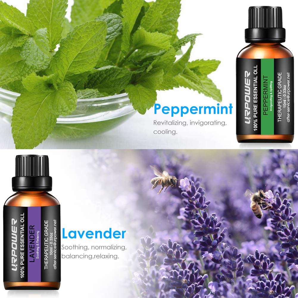 URPOWER Essential Oils Top 8 Aromatherapy Essential Oils 100% Pure Therapeutic Grade Essential Oils Set Lavender/Peppermint/Tea Tree/Orange/Eucalyptus/Lemongrass/Frankincense/Rosemary